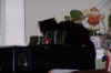new_cat 024.jpg (465978 bytes)